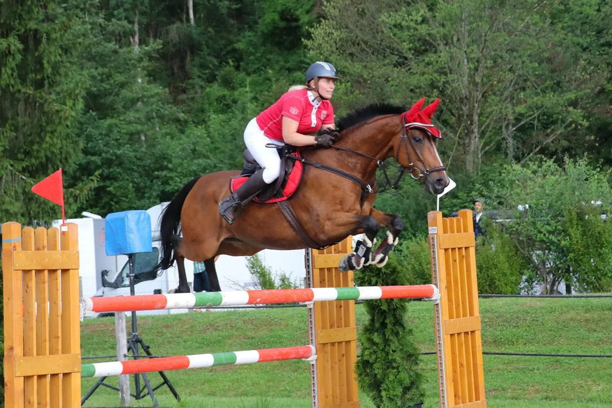 1%20siegerin%20gesamt%20severine%20schmid_preview Am OCC-Cup in Turbenthal nicht zu bezwingen: Die Wetzikerin Severine Schmid und Colonell. (Bild: zvg), Gleich doppelt erfolgreich: Manuel Eugster auf Callisto II. (Bild: zvg)