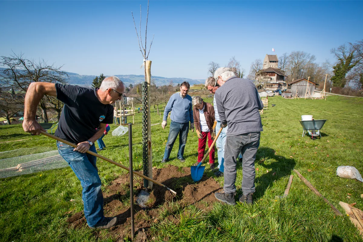 uster_19032016_baumpflanzaktion_crm_2_preview Aufnahmen der Baumpflanzaktion des Wagerenhofs am Schlosshügel im Jahr 2016. (Archivbild: Christian Merz)