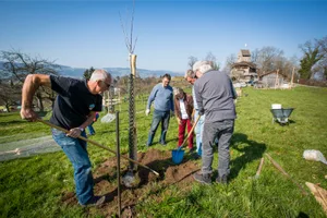 uster_19032016_baumpflanzaktion_crm_2_preview Aufnahmen der Baumpflanzaktion des Wagerenhofs am Schlosshügel im Jahr 2016. (Archivbild: Christian Merz)