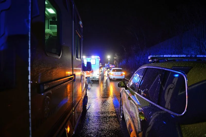 2016-01-30_00_preview Schäferhündin Rapunzel wird nach einem 400 Kilometer langen Irrweg schliesslich verletzt auf der A1 zwischen Winterthur und Zürich gefunden. (Symbolfoto: Züriost)