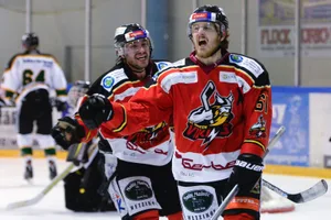 eis_ni27549_preview_0 Das Jubeln im Blut: Die Dürnten Vikings gewannen zum vierten Mal in Serie die Qualifikation in der Zweitliga-Gruppe 1. (Archvfoto: Nick Soland)