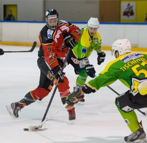 sport_19032015_eishockey_pif-2_preview Cyrill Stiefel (links) erzielte gegen den EHC St. Gallen beim 6:3-Sieg zwei wichtige Tore. (Archivfoto: Robert Pfiffner)