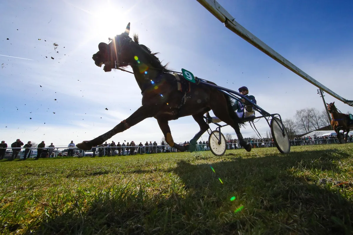 sport_02042018_pferderennenfehraltorf_dku_div_5__preview Im Vorjahr nicht zu bezwingen: Vigo du Verger mit Jean-Bernard Matthey. (Archivfoto: David Kündig)