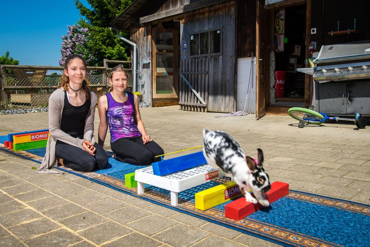 weisslingen_08052018_kaninhop_sbo_8_preview Rachel Bosshard (l.) und ihre Freundin Senia Puorger stellen den Kanin-Hop an der Jungtierschau auf die Beine. (Foto: Seraina Boner), Die beiden Mädchen trainieren regelmässig mit ihren Hasen Theo (unten) und Turbo. (Foto: Seraina Boner), Die Vierbeiner würden die Hindernisse freiwillig überwinden, ohne dass sie an einer Leine geführt werden müssen. (Foto: Seraina Boner) , Müsste sie ihren Hasen dazu zwingen, würde Rachel Bosshard (l) auf das Kanin-Hop verzichten. (Foto: Seraina Boner)