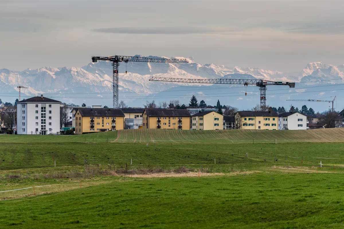 Noch ist das Eschenbühl eine grüne Wiese. Künftig soll das Gebiet aber 2000 Menschen ein Zuhause bieten. Der Bezirksrat hat den Stadtrat aber nun für seine Planung gerügt. (Archovfoto: Christian Merz)