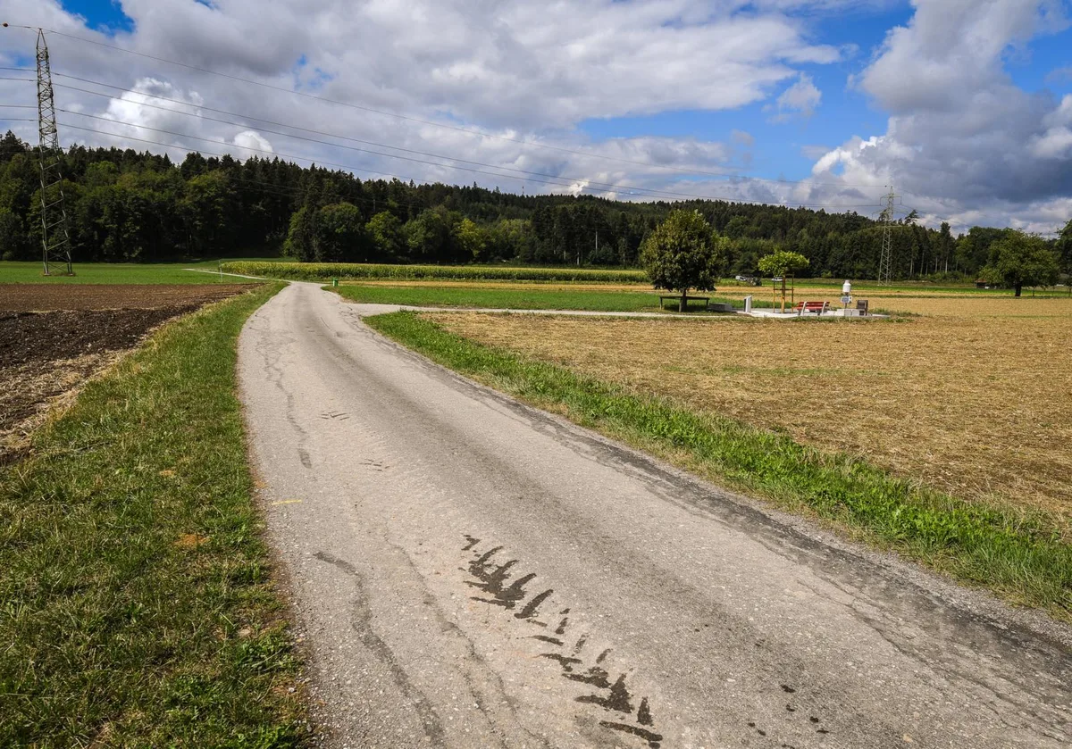 fehraltorf_14082018_fahrverbotspielplatz_sbo_13_preview_0 Auf dem Alten Zürichweg in Fehraltorf soll ein Fahrverbot eingeführt werden. Die Gegend soll zum Naherholungsgebiet werden. , Eine Grillstelle sowie Sitzgelegenheiten gibt es schon., 2015 brannte das Schützenhaus bis auf die Grundmauern ab. Die Gemeinde verzichtete aus Kostengründen auf einen Wiederaufbau., Das Fahrverbot sorgte für erste Reaktionen auf Facebook.