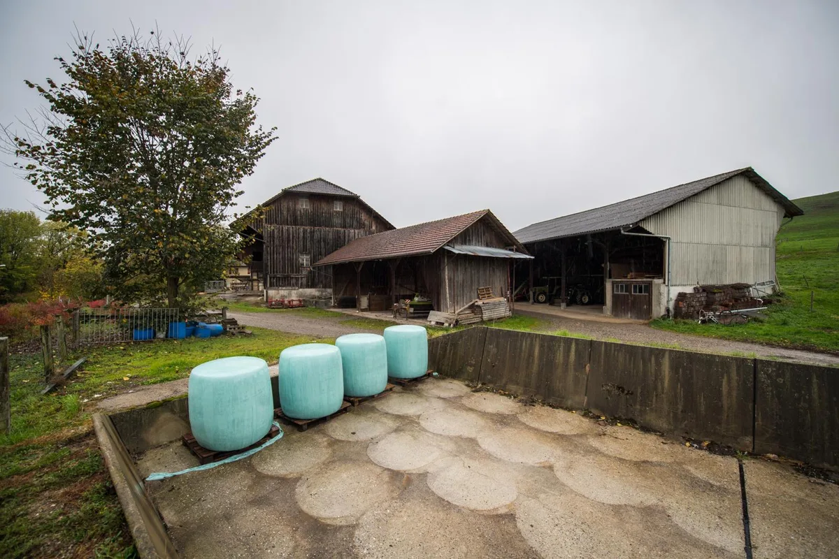 egg_30102018_bauernhofimloo_sbo_8_preview Auch die Landwirtschaftsmaschinen und das restliche Material wird bald weggeräumt. , Auch die Landwirtschaftsmaschinen und das restliche Material wird bald weggeräumt. , Auch die Landwirtschaftsmaschinen und das restliche Material wird bald weggeräumt. , Auch die Landwirtschaftsmaschinesollen auch die Landwirtschaftsmaschinen und das restliche Material weggeräumt werden. , Auch die Landwirtschaftsmaschinen und das restliche Material wird bald weggeräumt.