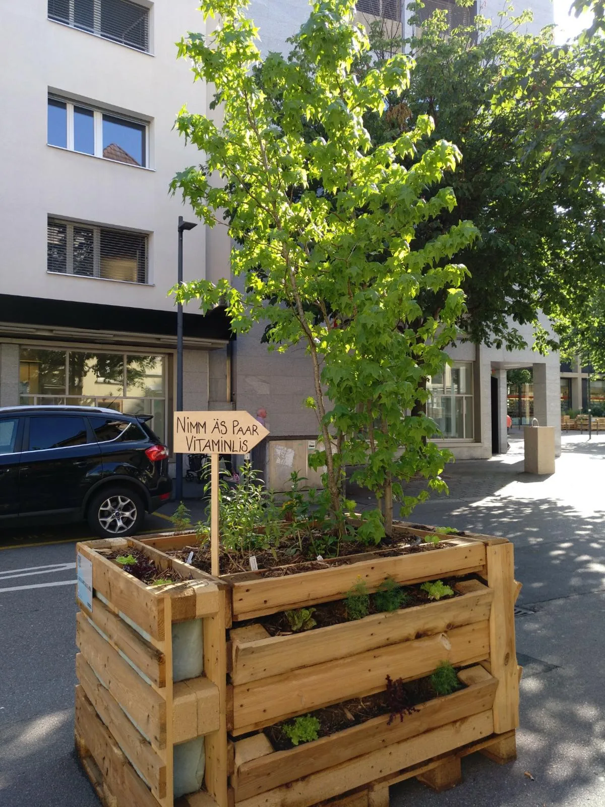 Diese «Oasen» stellte der Verein «Herzkern» bereits letztes Jahr überall in der Stadt auf.