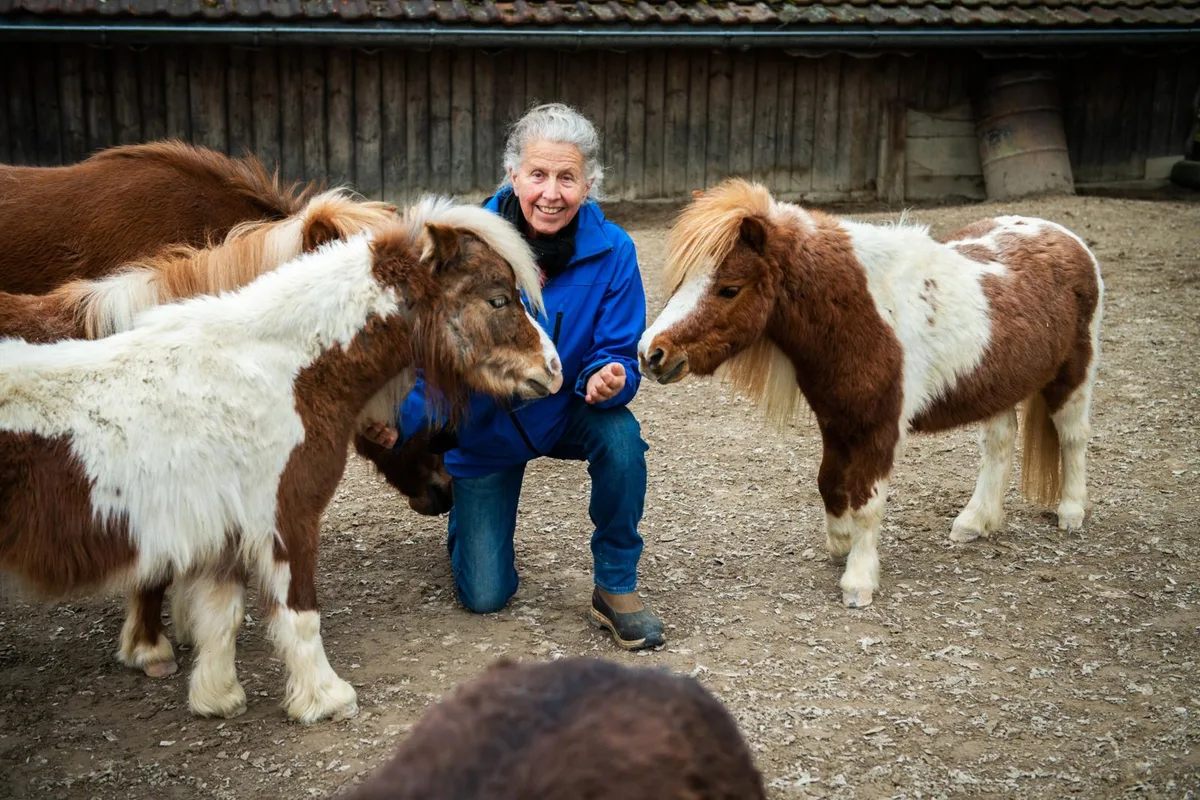 bisikon_10042019_reitpaedagogin_sbo_3_preview Barbara Grunder bietet auf dem Tierlihof in Bisikon pferdegestützte Therapien an., Die American Miniature Horses fördern beispielsweise die Geduld., Die Therapien eignen sich für Kinder wie auch Erwachsene - die Gründe für den Therapiebesuch sind unterschiedlich.