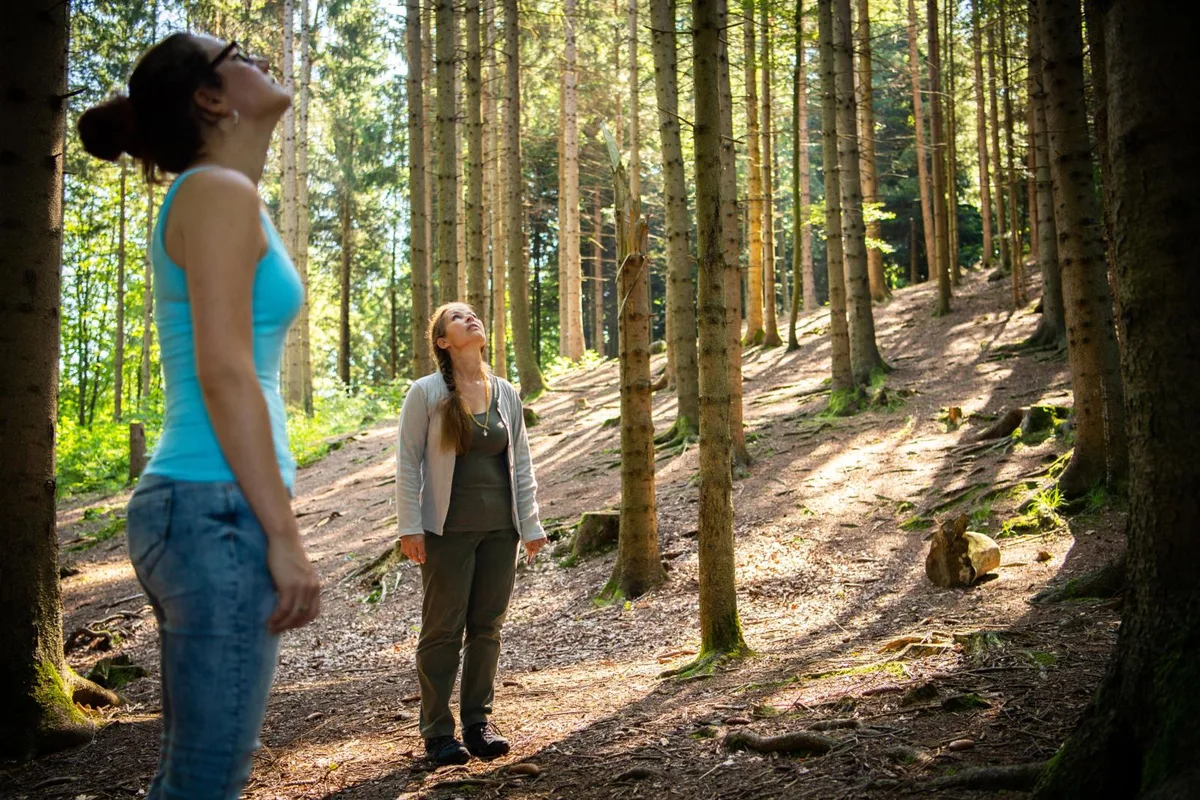 pfaeffikon_23072019_waldbaden_sbo_7_preview «Shinrin Yoku» ist eine japanische Achtsamkeitsübung im Wald, die zu Entspannung führen soll. , Beim «Waldbaden» wird die Umgebung mit allen Sinnen aufgenommen. , Die von den Bäumen ausgestossenen Terpene sollen zudem positiv auf den Körper einwirken., Atemübungen dienen als Vorbereitung auf die Erfahrung.