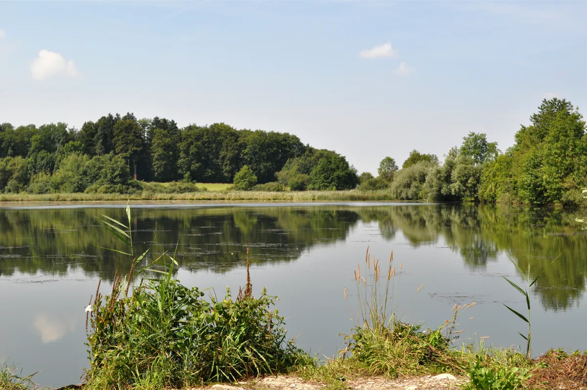 bp_14082012_brauiweiher_dih-2_preview Für den Brauiweiher in Weisslingen ist ein Sanierungsprojekt geplant.