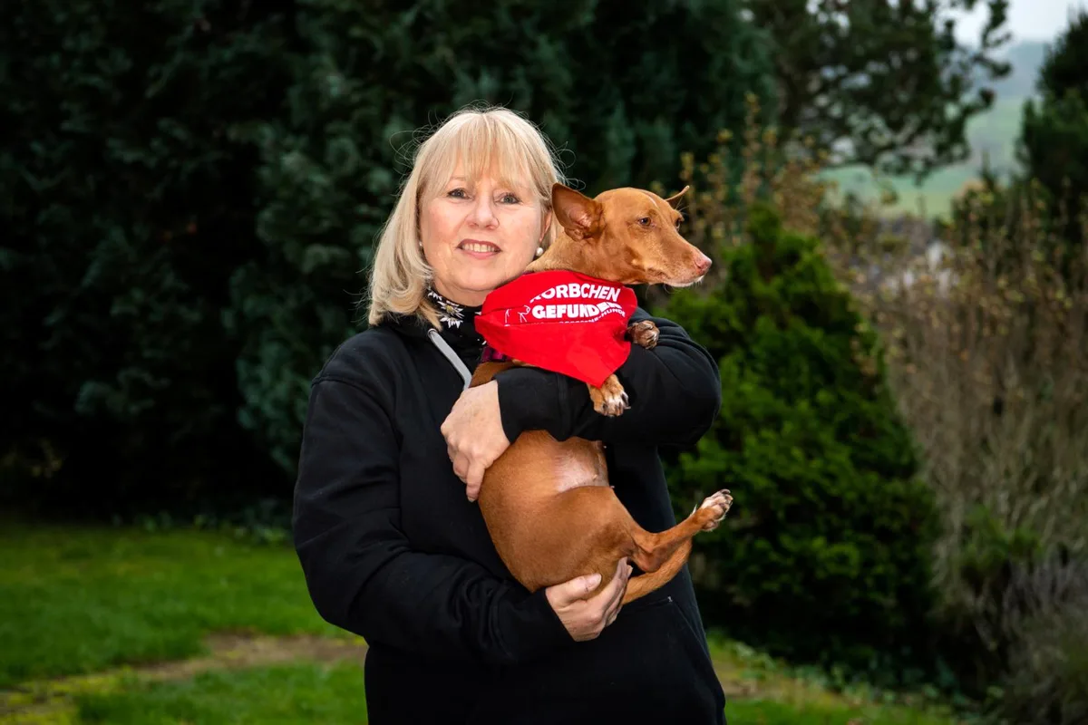 weisslingen_21112019_vergessenehunde_sbo_5_preview Sibylle von Burg engagiert sich für spanische Heimhunde., Zusammen mit Eva Hess (links) und Hélène Lacher (rechts) vermittelt sie vernachlässigten Hunden ein neues Zuhause., Seit der Gründung vor fünf Jahren konnten über 100 Hunde vermittelt werden.