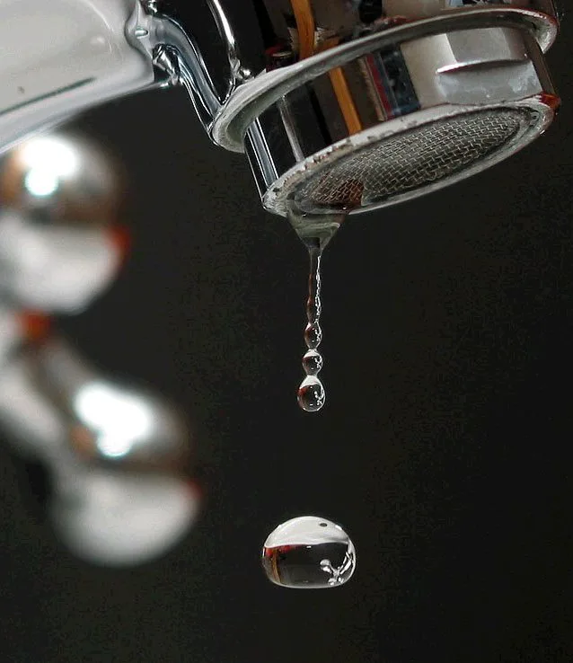Trinkwasser steht im Zentrum der Veranstaltung der Grünen., Der Ustertag findet dieses Jahr nicht statt.