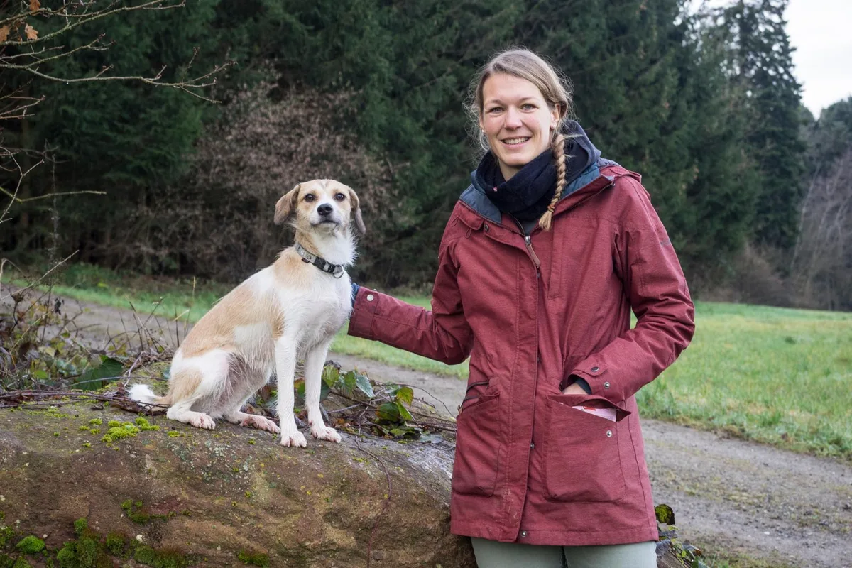 duernten_tierphysiotherapeutin_mirjammarzohl_agy_10_preview Mirjam Marzohl hat ein grosses Herz für Tiere., Sie arbeitet als Tierphysiotherapeutin., Die Massage eines Pferdes unterscheidet sich dabei nicht gross von der beim Menschen., «Die Griffe sind die gleichen», erklärt die 32-Jährige., Rücken und Hals sind oft verspannt., Auch Hilfsmittel wie Massageroller kommen zum Einsatz., Zum Abschluss der Massage Einheit gehört ausgiebiges Dehnen., Dafür nimmt sich Mirjam Marzohl genug Zeit., Im Gelände übt Mirjam Marzohl Trainingseinheiten mit ihrer Hündin Bella., Dabei werden Gelenke, Muskeln und koordinative Fähigkeiten trainiert.