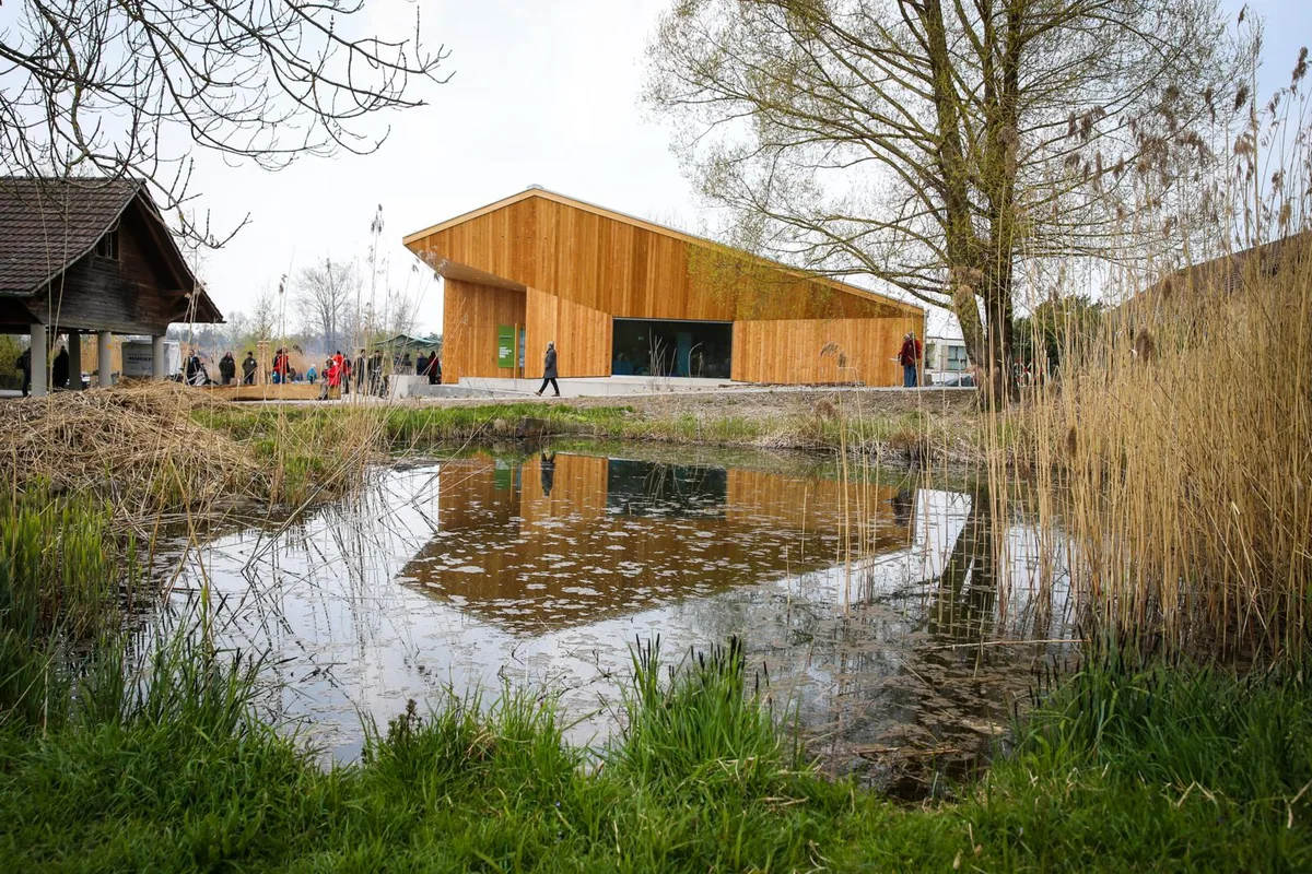 pfa%cc%88ffikon_13042019_naturzentrum_nag-1_preview_0 Während zwei Monaten wurde der Wasserschaden im Naturzentrum Pfäffikersee behoben., Es sei ein Schock gewesen, als sie die Wasserflecken entdecken, so eine die Zentrums-Leiterin., Leiterin Stephie Burkart (l.) und ihre Stellvertreterin Antonia Zurbuchen freuen sich über den raschen Abschluss der Renovation.