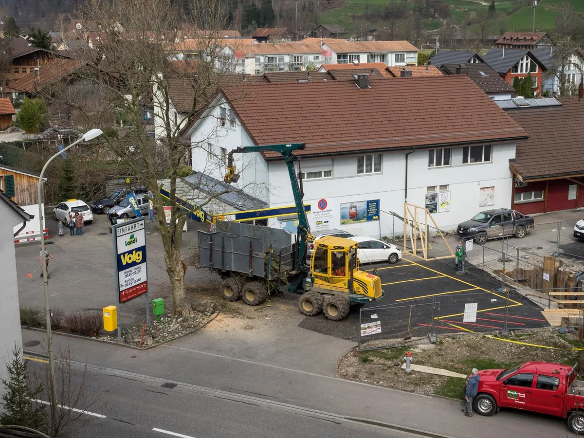 p3171207_preview Am Dienstagnachmittag wurde war die Muggler Forst GmbH beim Wilemer Volg vor Ort ..., ... um die grosse Platane zu fällen., Holzfäller Christian Muggler verwendete dafür einen Forwarder., Mit dessen Greifersäge entfernte er die Äste., Bis nur noch der Baumstumpf übrig blieb., Am Schluss rückte Martin Berwert dem Stamm mit der Motorsäge zu Leibe.