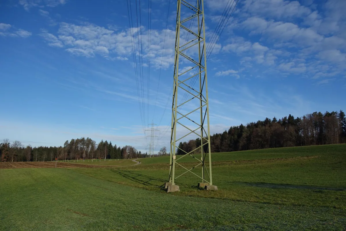 Der Drumlin Buechholz, der bewaldete Hügel rechts im Bild, würde für den Tunnelbau bergmännisch durchbohrt. (Foto: Christian Brä