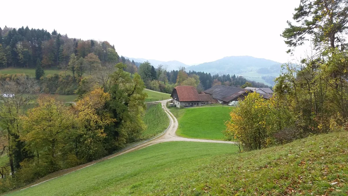 Strassen ausserhalb des Dorfkerns sind oft in einem schlechtem Zustand: Im Bild der Weiler Manzenhub.