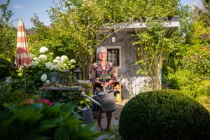 bauma_23072020_gartenserie_sbo_36_preview Isolde Hensgen in ihrem Garten in Bauma. , In ihrem «Gärtli» gibt es für sie immer viel zu tun. , Der Duft der Blumen schlägt einem beim Betreten des Gartes gleich entgegen. , Unter der Tessiner Pergola geniessen Isolde Hensgen und ihr Mann regelmässig am Sonntag ihren Zmorge., Im Biotop hatte es einst Fische – doch diese hat der Reiher alle geholt.