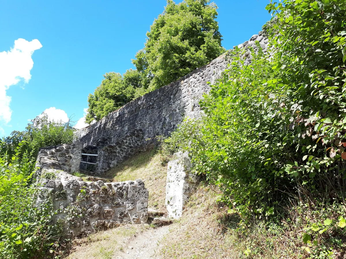 Die 7. Etappe der Wanderserie führt von Wila nach Bauma in die Burgruine Altlandenberg., Zuerst geht es entlang der Töss nach Tablat..., ... ins Vivarium. , Beim Toni-Gumpen beginnt der Aufstieg nach Hochlandenberg. Die beliebte Badestelle war noch menschenleer., Auf geht es nach Hochlandenberg., Bald ist es geschafft., Leider lässt die Aussicht von Hochlandenberg etwas zu wünschen übrig., Beim Weiler Vorder Eich sieht man dann schon mehr. Man darf nur nicht blind der Beschilderung vertrauen., Ein Highlight der Wanderung: Brombeeren am Wegrand., Arbeiter des Tiefbauamts erstellen im Chämmerlibachtobel eine neue Wandertreppe., Schneller als gedacht erreicht man die Burgruine Altlandenberg., Dort hat die Infotafel auch schon besser Zeiten erlebt., Die Aussicht auf Bauma., Auf dem Weg zum Bahnhof Bauma muss man die etwas wacklige Holzbrücke überqueren. , Das Ziel ist erreicht: Der Bahnhof Bauma.