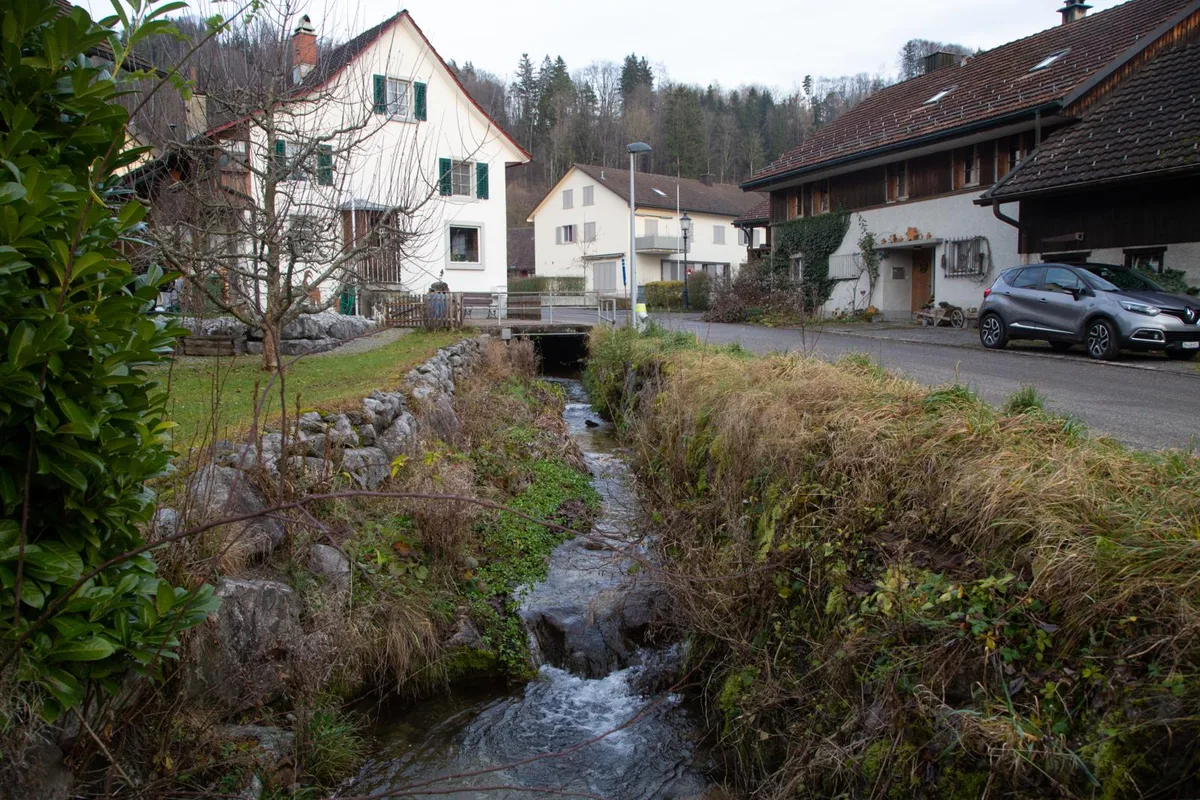 106a9454_preview Das Herzstück der Planung bildet der Durchfluss im Dorf. , Es ist vorgesehen, den unterirdisch fliessenden Bach ans Tageslicht zu holen.