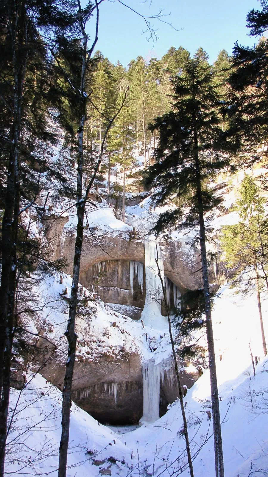 016 025 G 05.3 Momilchgubel