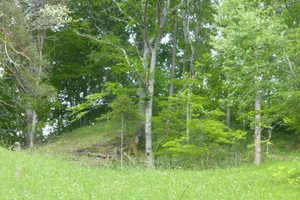 burg%20neu-bichelsee%201_preview Längst hat sich die Natur den Platz zurückerobert, an dem vor knapp 800 Jahren die Burg Neu-Bichelsee stand.