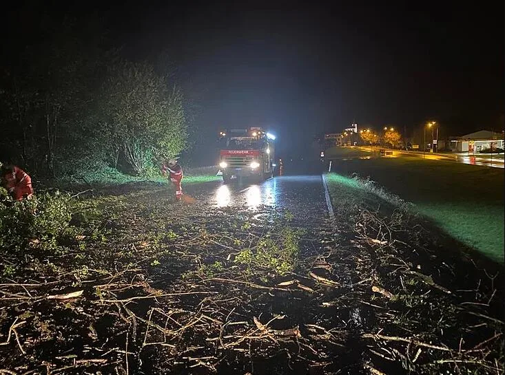 tww2_preview Am Samstagmorgen ist die Feuerwehr Turbenthal-Wila-Wildberg zu einem Einsatz ausgerückt, Der Einsatz fand um 5 Uhr statt und dauerte eine Stunde., Der Grund war eine Esche, welche auf die Strasse fiel.