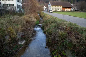 106a9465_preview Der Zellerbach soll breiter werden.