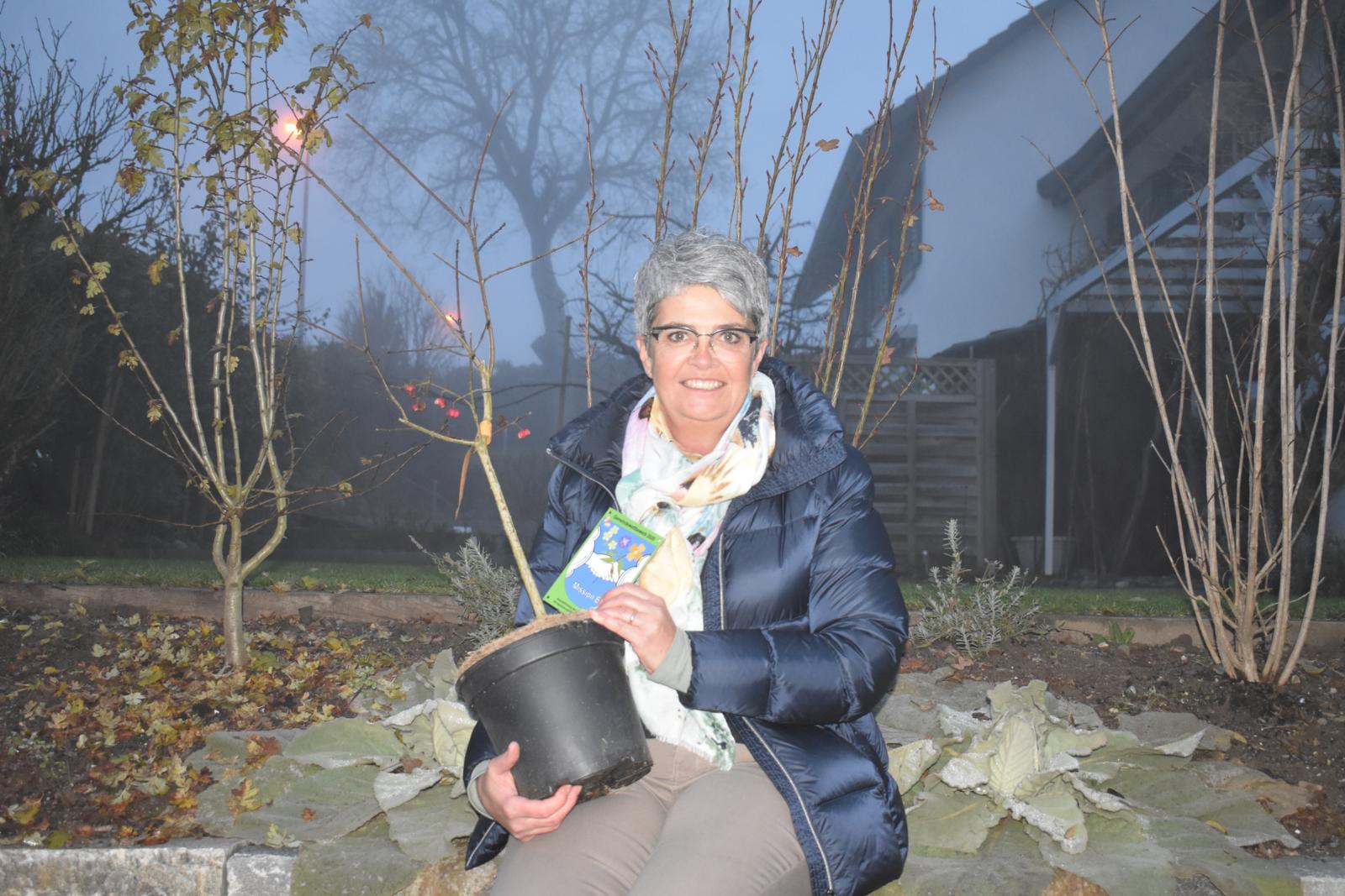 Schmetterlinge, Hummeln und Vögel tummelten sich in Egger Garten Züriost