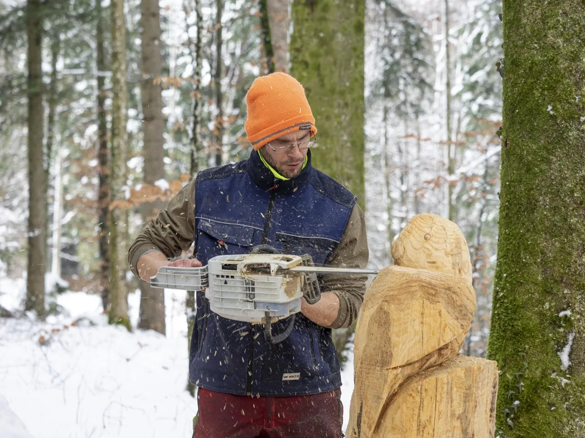 Mit der Kettensäge bearbeitet Patrik Berger einen grossen Baumstrunk., Dabei ist höchste Konzentration gefragt., Aus dem Holz soll später eine Eule werden., Als Vorbild dient Patrik Berger eine seiner ersten Skulpturen. Auf diese ist er besonders stolz.