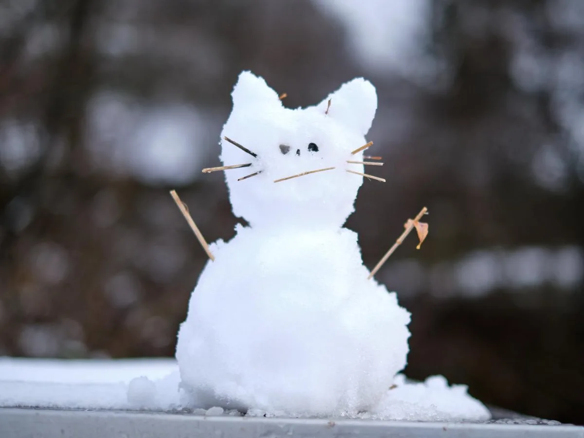 sabine_meissner_r%c3%bcti_grumpy_snowcat_preview Bald wieder Schneefiguren bauen im Flachland? In den nächsten Tagen fällt auch im Flachland Schnee.