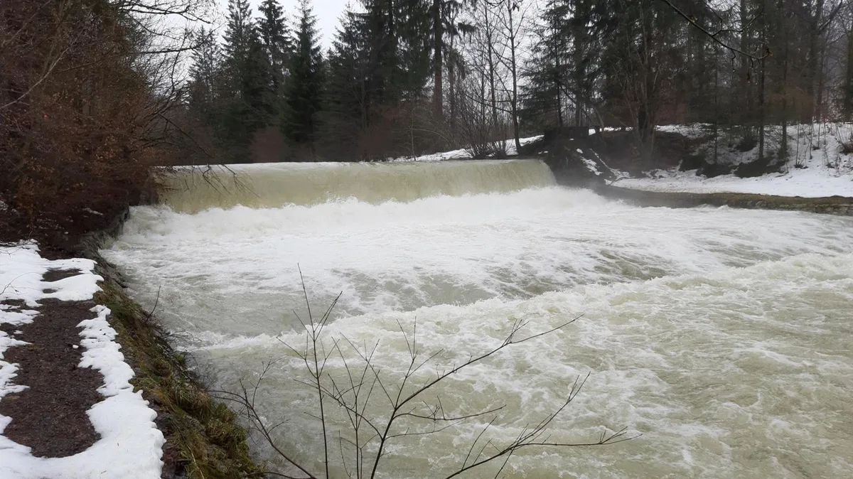 20210130_151058_preview Die Töss führte am Samstag viel Wasser, hier beim Toni-Gumpe in Wila., Hier die Töss beim Toni-Gumpe am vorletzten Donnerstag.