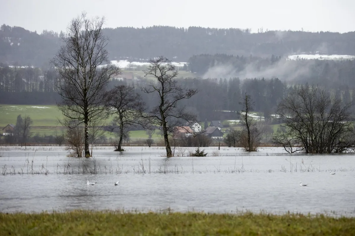 region_01022021_hochwasser_crm_9_preview Das Ufer des Greifensses war jüngst überflutet.