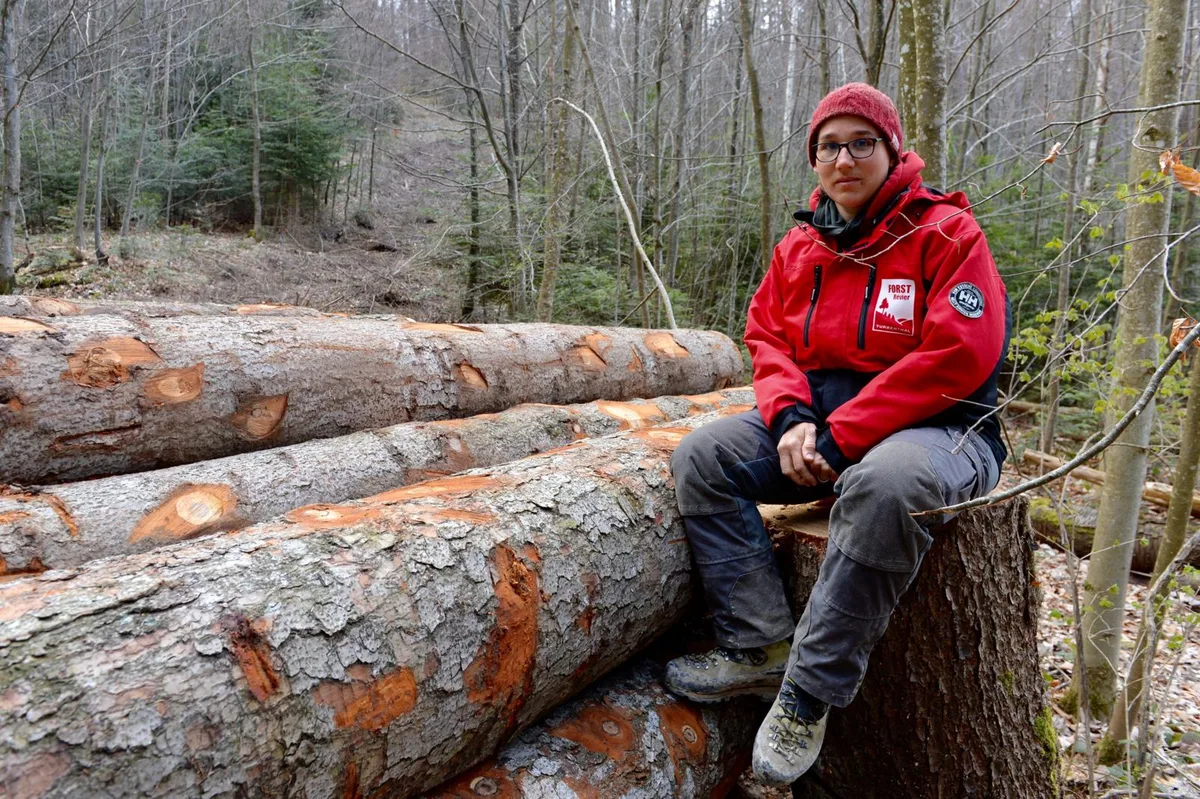 Försterin Miriam Lustenberger ist überzeugt, dass der Wald im Tössbergland keine markanten Schäden davongetragen hat., Probleme für den Wald sieht sie eher in anderen Bereichen.