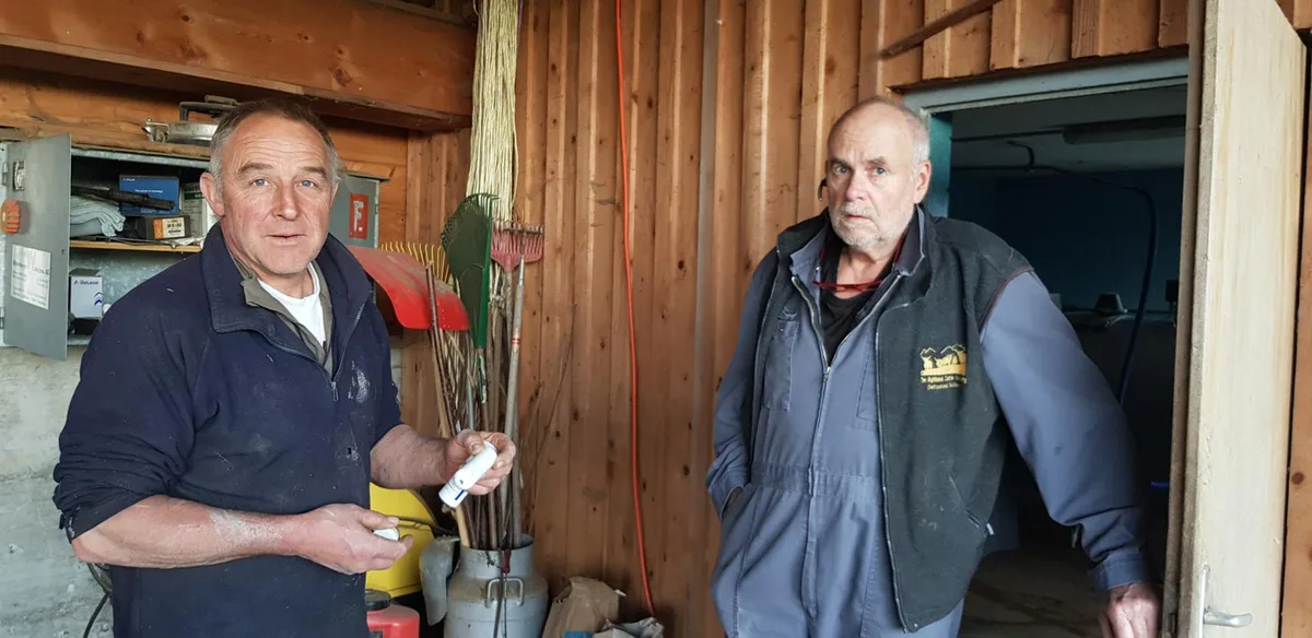 110521_maskenlittering_1_wir_preview Der Baumer Landwirt Sepp Stierli (links) und sein Tierarzt Urs Müller sehen für Kühe keine Gefahr durch weggeworfene Masken., Diese stellen aber trotzdem ein Problem für Tier und Natur dar., Mit ihrer Kampagne «Uncool» machen Studenten der Berner Fachhochschule zurzeit auf dieses Problem aufmerksam.