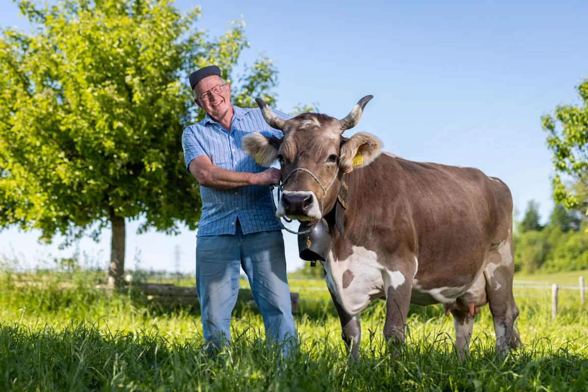 hinwil_01062021_bauer_crm_5_preview Der Milchkuh widmet Urs Hauser sein «Gras- und Milchlandvideo», das er Anfang Mai auf Youtube geladen hat., Bis heute staunt der ehemalige Landwirt tagtäglich über die «Stoffwechselkunst aus Gras» und die Schöpfung an und für sich.