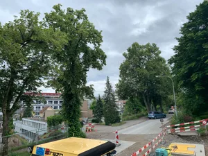 04072021_lindenallee_4_cb_preview Seit Januar wird die Tödistrasse saniert. Um die Linden zu schützen, werden die Werkleitungen alle hangseitig verlegt., Die alten Winterlinden gelten als sehr wertvoll., Die Baugespanne für die Neubauten auf dem Trompete-Areal kommen den geschützen Bäumen sehr nahe., Ursprünglich reichte die Lindenallee auf der Tödistrasse bis hinunter zum heutigen Coop-Kreisel.