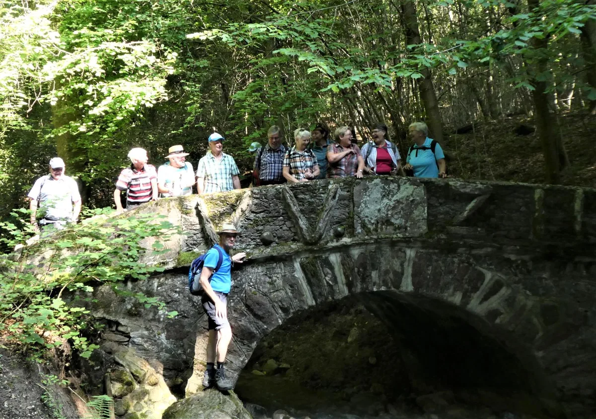 alte%20steinbr%c3%bccke%20im%20st%c3%b6ckentobel_preview Die Wanderinnen und Wanderer auf der Steinbrücke im Stöckentobel., Der steinerne Elefant am Elefantenbach., Das Mühlrad aus der Nähe., Die Schönheit des Wehrenbachertobels., Die Gruppe in der Nähe des Rumensees.