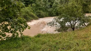 whatsapp%20image%202021-07-15%20at%2010-31-31_preview Die Töss führt aktuell viel Wasser. Hier in der Nähe des Gmeiwerchs bei Turbenthal., Die Unterführung unter der Autobrücke zwischen Turbenthal und Wila ist am Donnerstagmorgen überflutet., Am Mittwochabend war die gleiche Stelle noch frei.