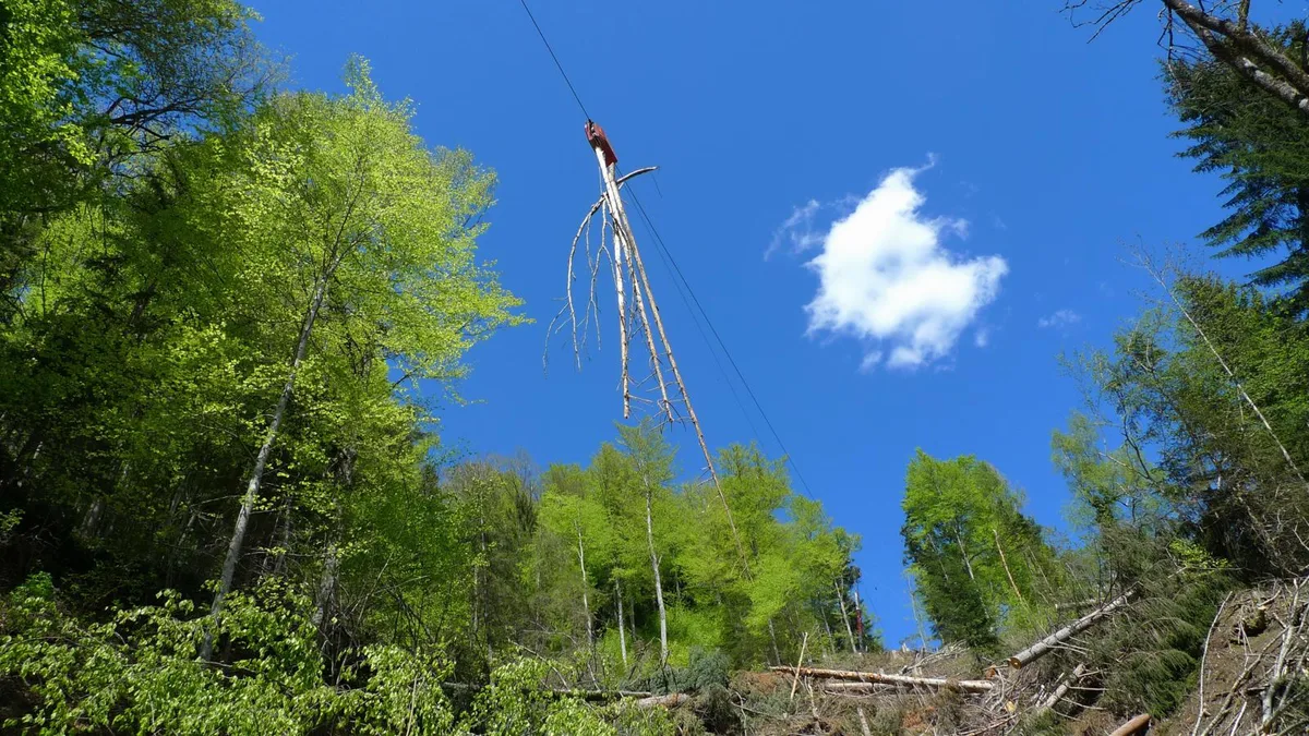11082021_holzseilbahn_bauma_fischenthal_pd_15_preview Mithilfe der Seilkrananlage wird das geschlagene Holz ins Tal transportiert., Für die Installation der Seilbahn braucht es einen stabilen Talanker., Das Spannen der Seile nimmt viel Zeit in Anspruch., Eine hohe Tanne dient als Zwischenstütze., Schliesslich ist die Bahn montiert., Und der Transport des Holzes kann losgehen., Dabei kommt auch eine grosse Motorwinde zum Einsatz., Die Holzstämme müssen für den Transport gut gesichert werden., Dafür braucht es dicke Drahtseile., Im Tal werden die Holzstämme schliesslich in Empfang genommen., Insgesamt kommen so rund 4000 Kubikmeter Holz zusammen.