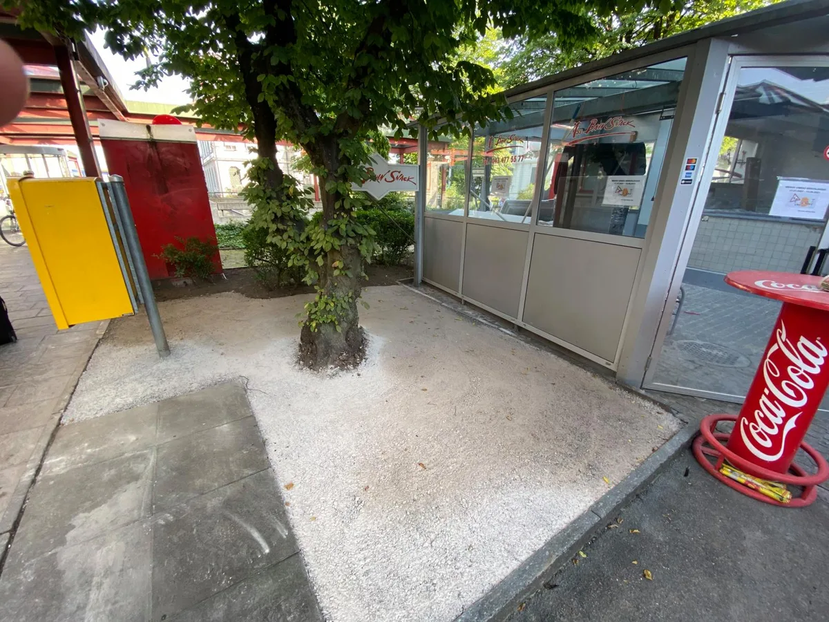 Nicht «zubetoniert», sondern nur bekiest: Dieser Baum am Bahnhof Wetzikon ist doch nicht zerstört.