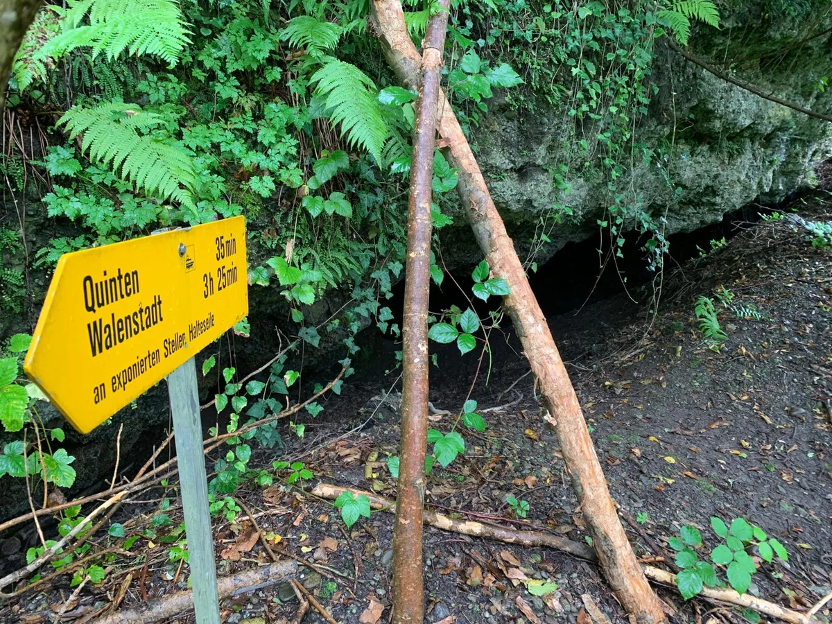 Ein schöner Wegweiser mit falschen Angaben: das Werk eines Witzbolds., Eine Höhle bietet verirrten Wanderern Unterschlupf., Ein bedrohliches Felsband wölbt sich über den Wanderweg. , Wer diese Treppe erklimmt, wird bald den Wald verlassen.