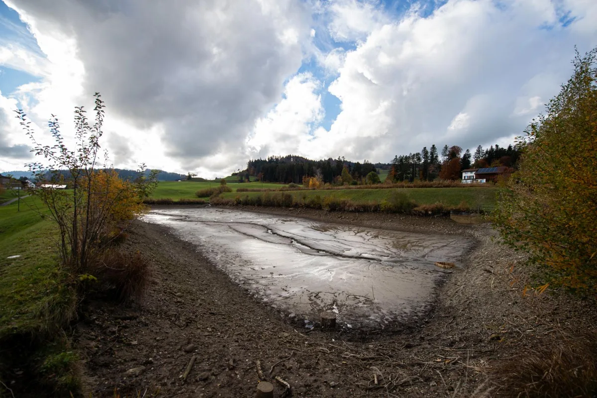 fischenthal_27102020_seelisbergweiher_sbo_11_preview_0 Der Seelisbergweiher ist seit dem letzten Oktober bereits entleert., Das Gewässer musste mindestens ein halbes Jahr trocken liegen, bevor die Bauarbeiten beginnen können.