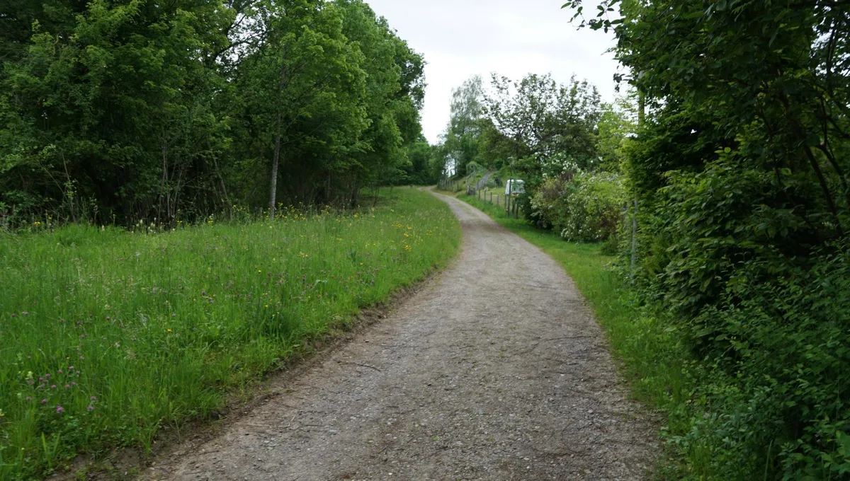 https-zueriost-ch-sites-default-files-elvis-media-2021-10-030621_hoehenweg%2520wila_gaeh_3_preview-jpg Der Kiesbelag auf dem Höhenweg wird zumindest teilweise bleiben.