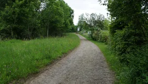 https-zueriost-ch-sites-default-files-elvis-media-2021-10-030621_hoehenweg%2520wila_gaeh_3_preview-jpg Der Kiesbelag auf dem Höhenweg wird zumindest teilweise bleiben.