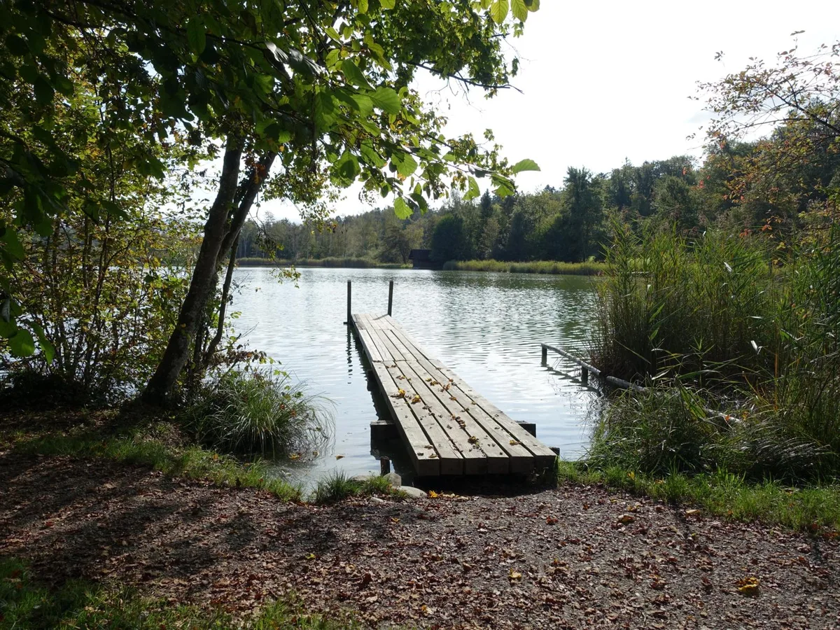 Höhepunkt der Wanderung war der Husemersee mit seinem Holzsteg., Auf diesem machte die Wanderschar ein Gruppenfoto., Der See liegt mitten in einem Naturschutzgebiet., Das Mittagessen gab es im Restaurant Hirschen in Trüllikon., Später folgte der Aufstieg zur Höhi., Unterwegs sichtete die Wandergruppe ein Waldsofa.