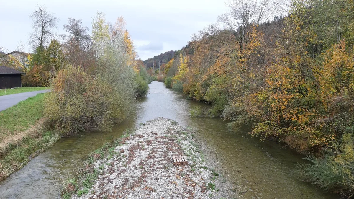 20201028_113900_preview Die Töss soll in Wila gegen Hochwasser gesichert und revitalisiert werden.