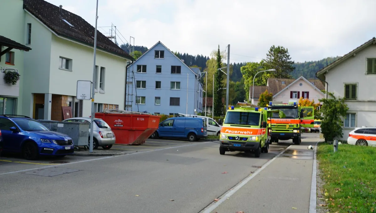 https-zueriost-ch-sites-default-files-elvis-media-2021-10-211008_mottbranddreispitz_1_bes_preview-jpg Bei Bauarbeiten kam es zu einem Mottbrand in der Fassade.