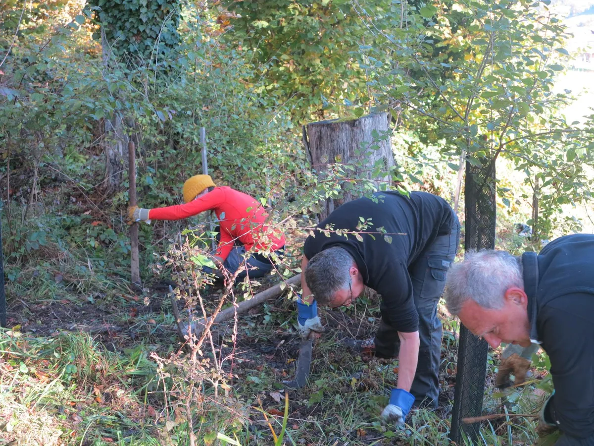 231021_wwfwila_5_bre-jpg_preview Die Freiwilligen jäten Unkraut bei den Hecken am Waldrand., Die andere Gruppe entfernte Placken auf dem Feld., Der Einsatz war Teil eines WWF-Projekts. , Ein Plackenstecher vereinfacht die Arbeit., Anpacken und zustechen auf dem Feld., Beim Mittagessen wurde angeregt diskutiert.
